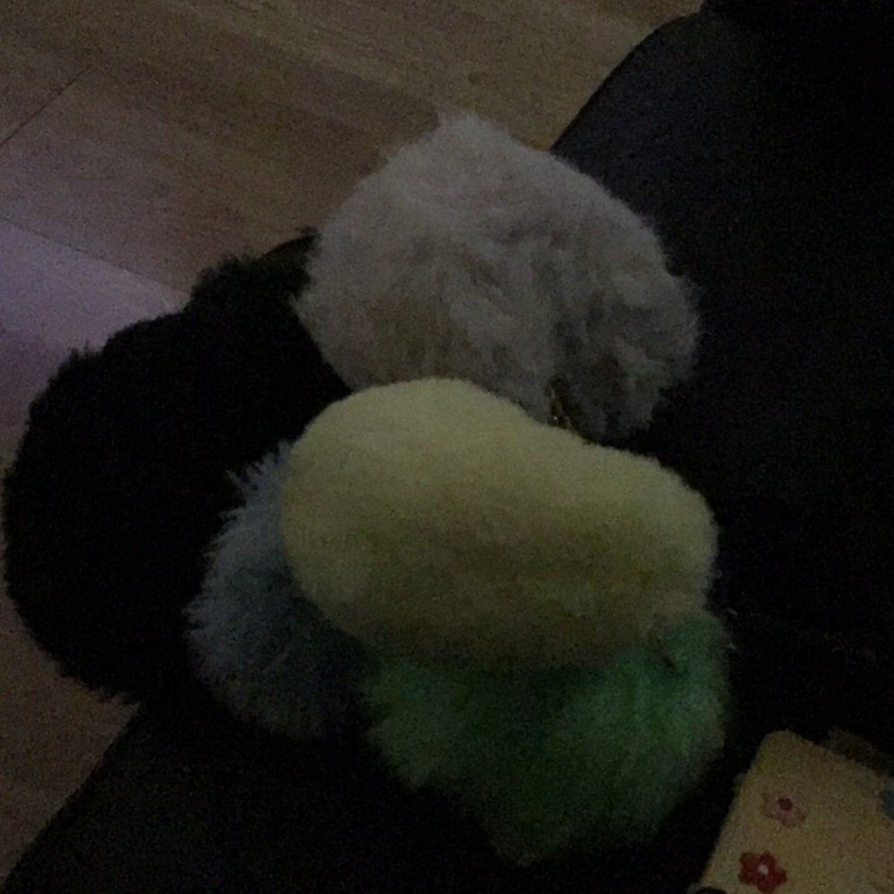 Pom Pom